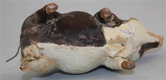 An early 20th century musical pig, probably French, 5.5in.